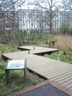 wooden decking walkway