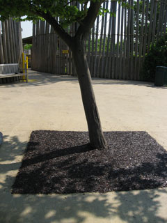 rubber bark tree pit